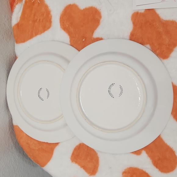 Williams-Sonoma LE JARDIN Salad Plates Portugal 9" Set of 2 - Picture 4 of 6